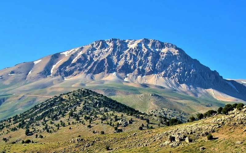 Kızlarsivrisi