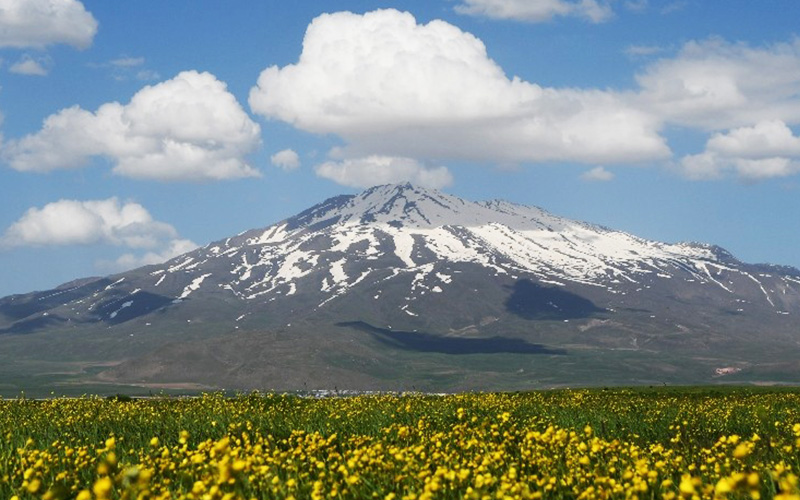 Süphan Dağı