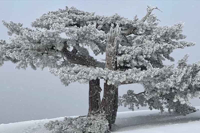 ÇANAKKALE ŞEHİTLERİNİ ANMA TIRMANIŞI