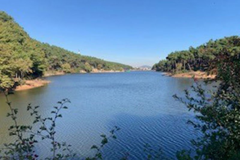 AYDOS ORMANI SPORTİF DOĞA YÜRÜYÜŞÜ