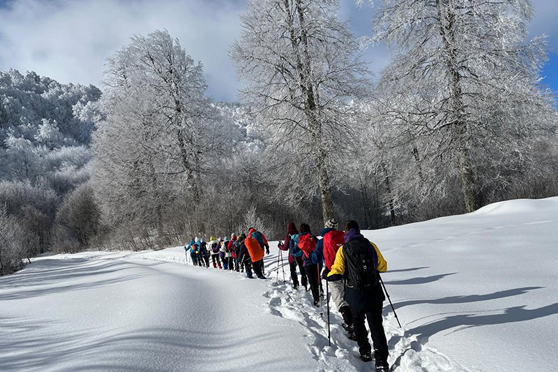 KARTEPE ZİRVE VE KUZU YAYLA DOĞA YÜRÜYÜŞÜ