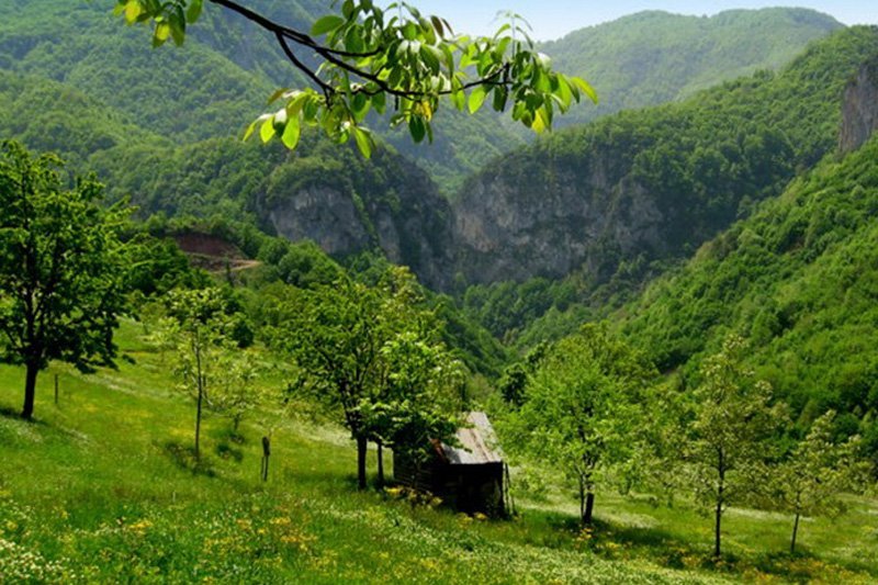 AYTEPE-MENEKŞE YAYLASI DOĞA YÜRÜYÜŞÜ