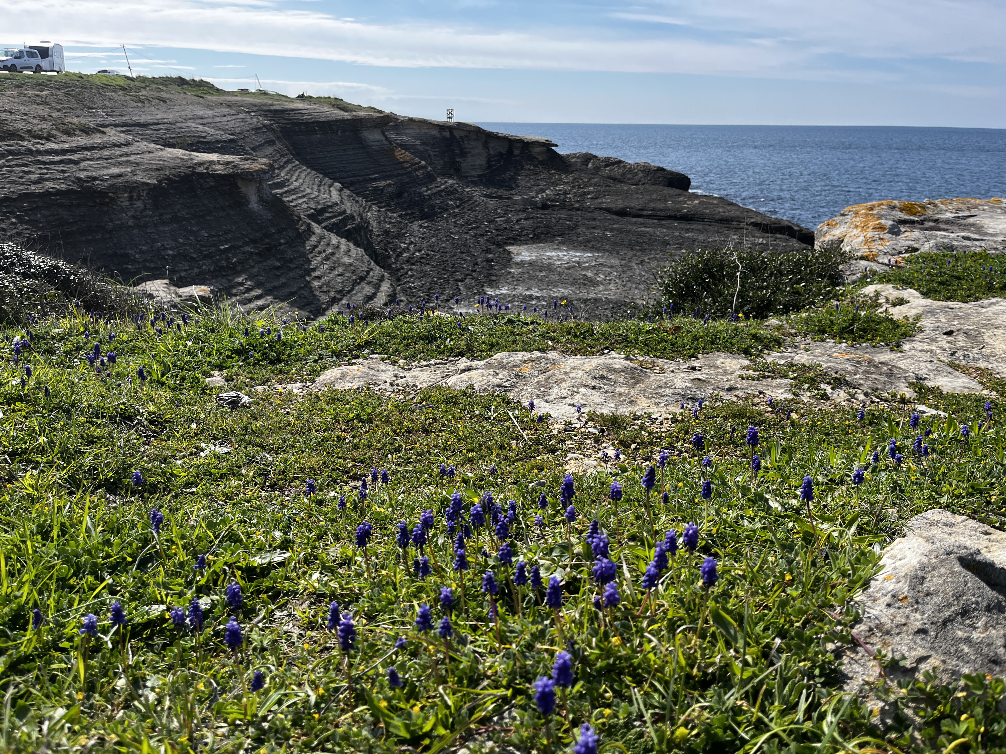 ZAMBAK YOLU 2. ETAP KEFKEN-KERPE-SEYREK etkinliği galerisi - Görsel 4