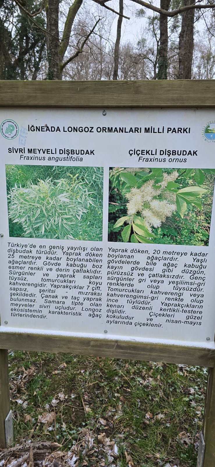 MONOPETRA KAYALIKLARI VE ŞELALELERİ DOĞA YÜRÜYÜŞÜ etkinliği galerisi - Görsel 2