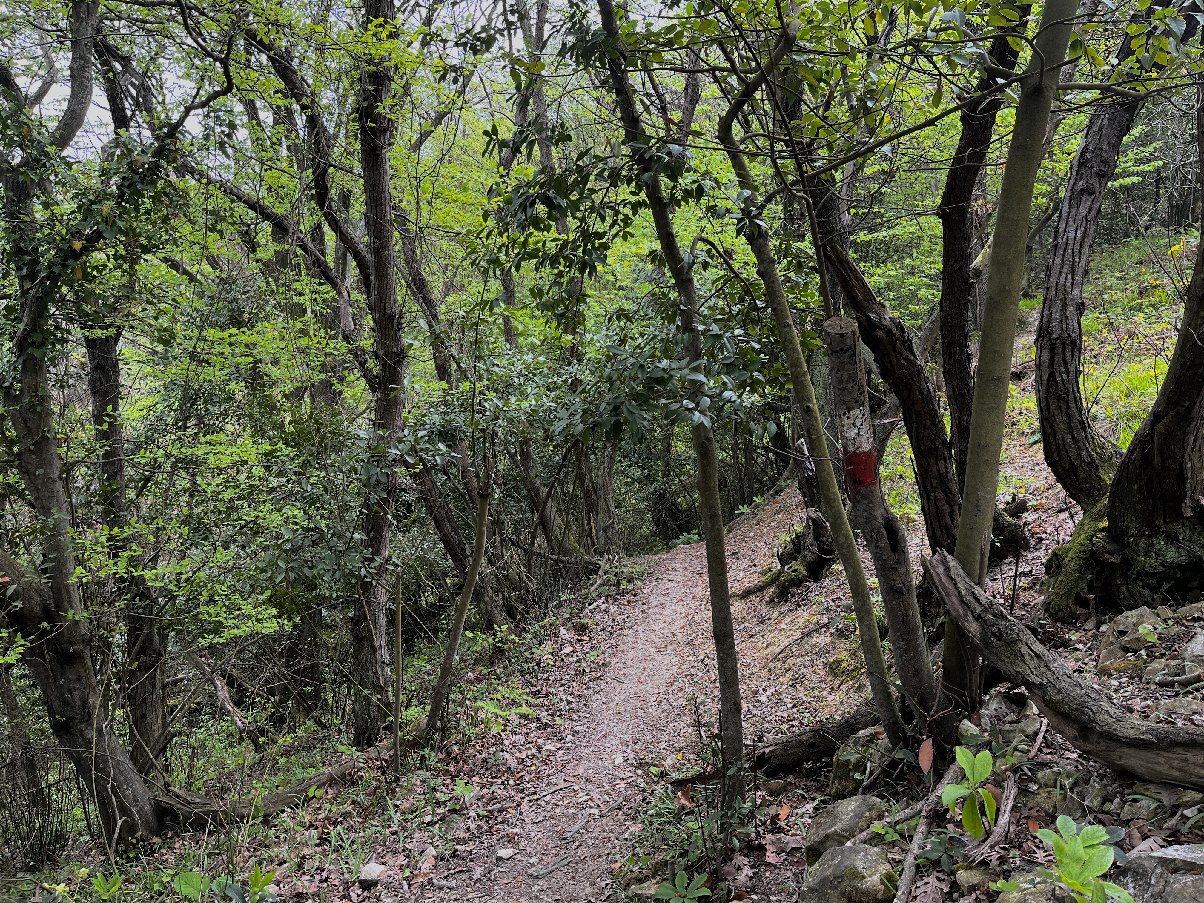 ZAMBAK YOLU 4. ETAP SARDALA KOYU-KİLİMLİ, KANDIRA KOYU-AĞVA etkinliği galerisi - Görsel 2