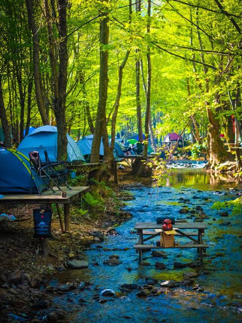 ERİKLİ KAMP VE DOĞA YÜRÜYÜŞÜ