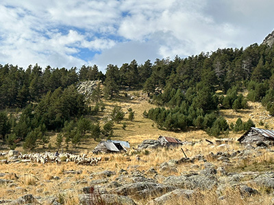 KÖROĞLU DAĞI ZİRVE FAALİYETİ