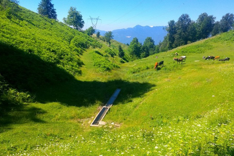 7 YAYLA-5 GÖL SPORTİF DOĞA YÜRÜYÜŞÜ