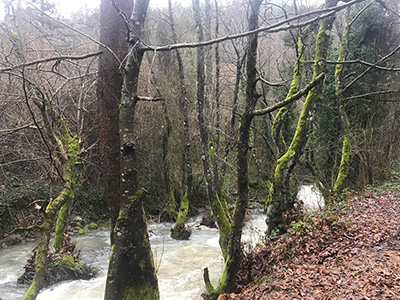 UMUTTEPE-ÇINARLIDERE DOĞA YÜRÜYÜŞÜ