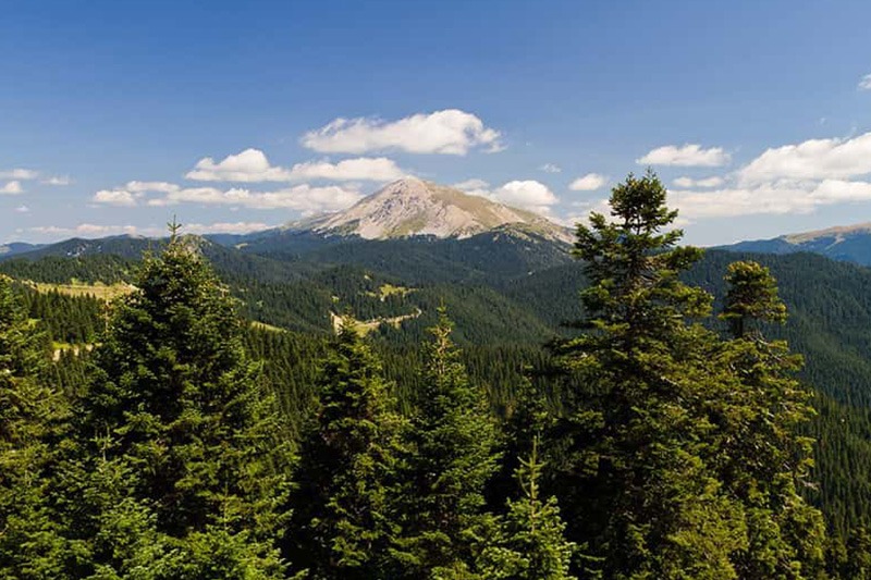 ILGAZ DAĞI ZİRVE TIRMANIŞI