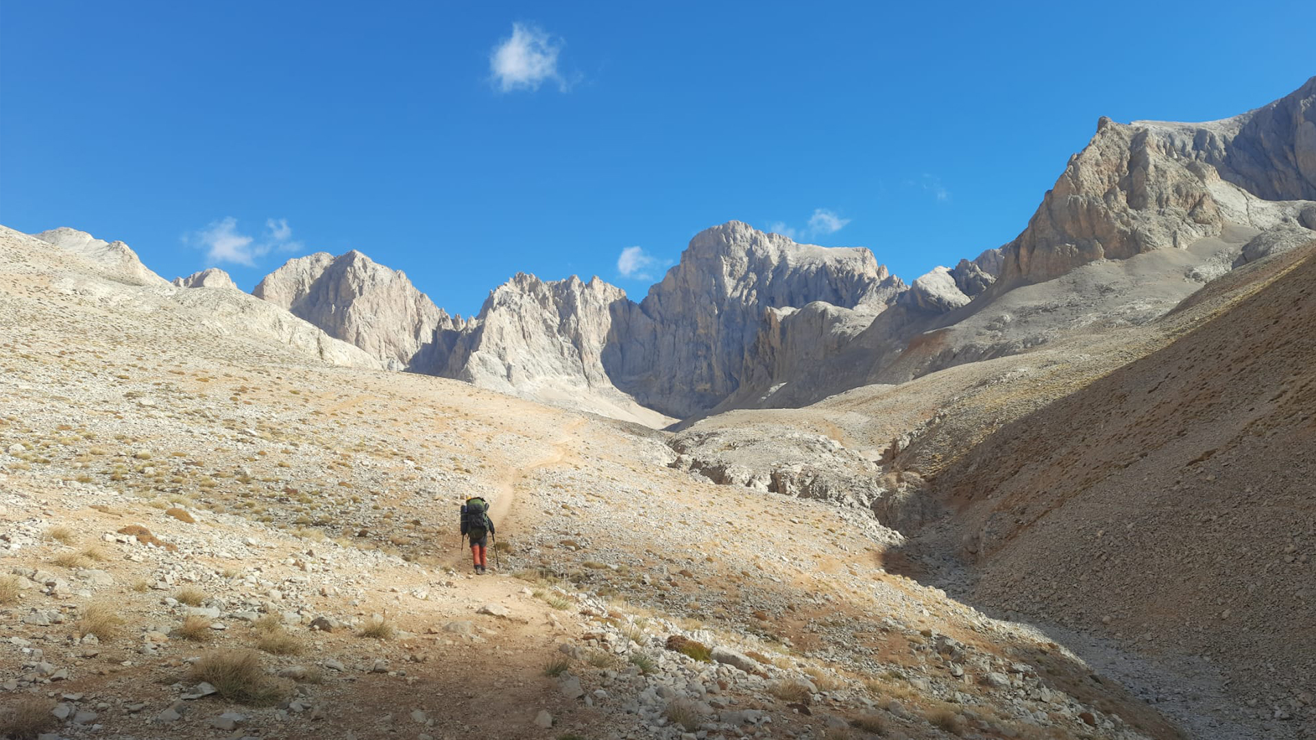 YAZ DAĞCILIK EĞİTİMİ